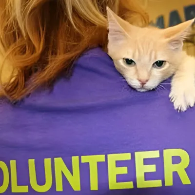 Volunteer